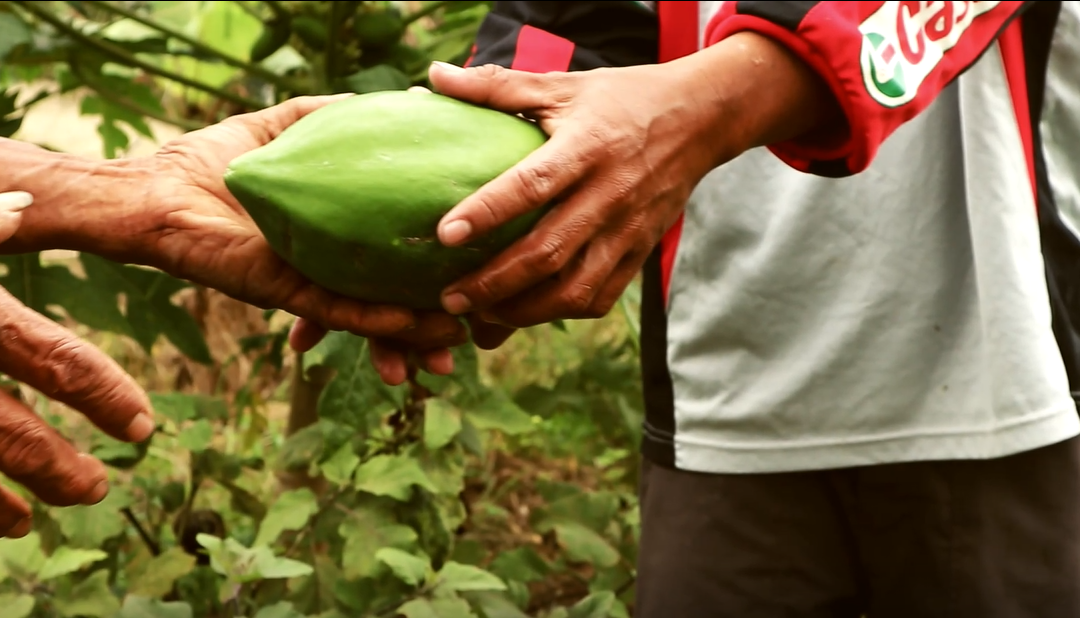 World Food Day: the journey of food