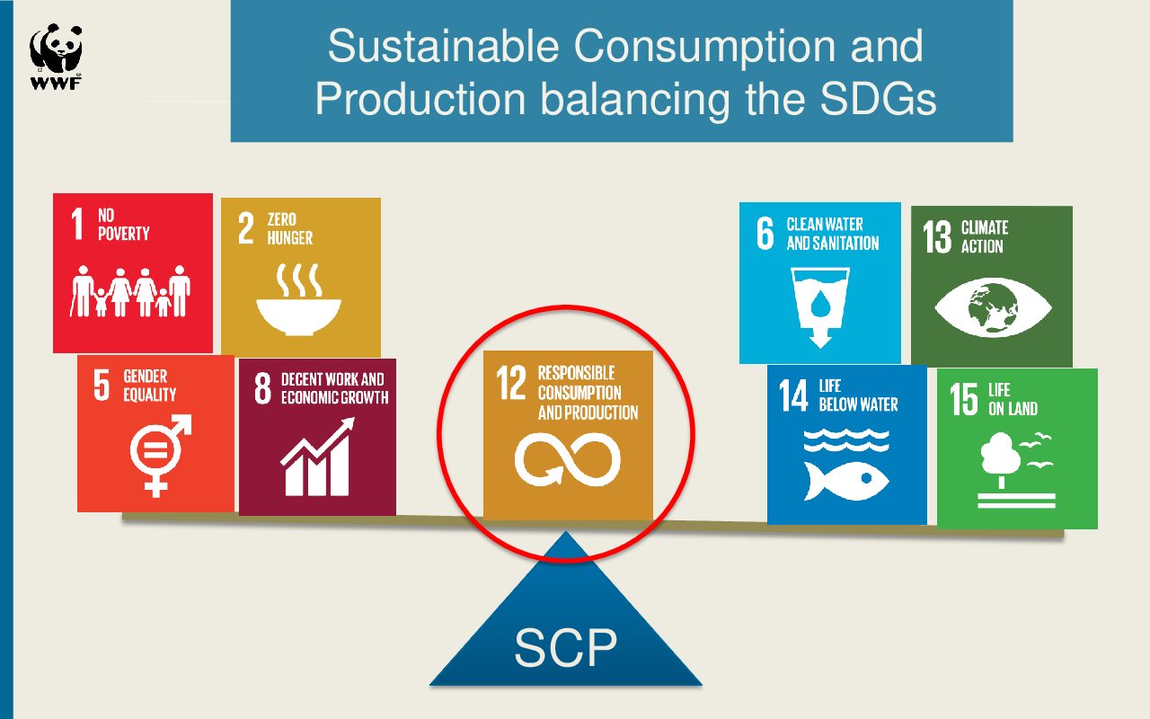 Factsheets: Check out our project components in Asia