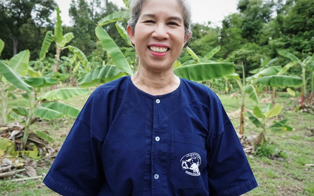 Communally Transforming Agricultural Systems  – A Story from a Thai Farmer