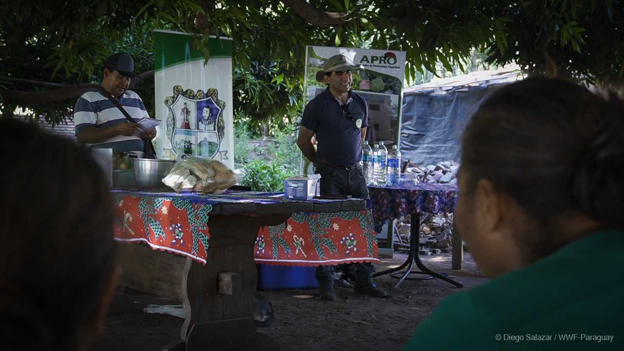 Foto 4