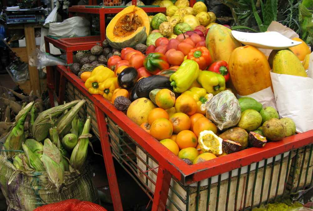 ‘Why Do We Eat What We Eat?’: Podcast Series launched in Colombia
