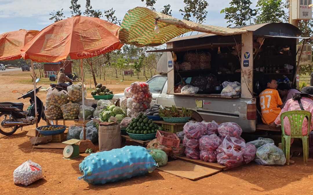 Cultivating a Greener Future: Sustainable agricultural production in Mondulkiri, Cambodia