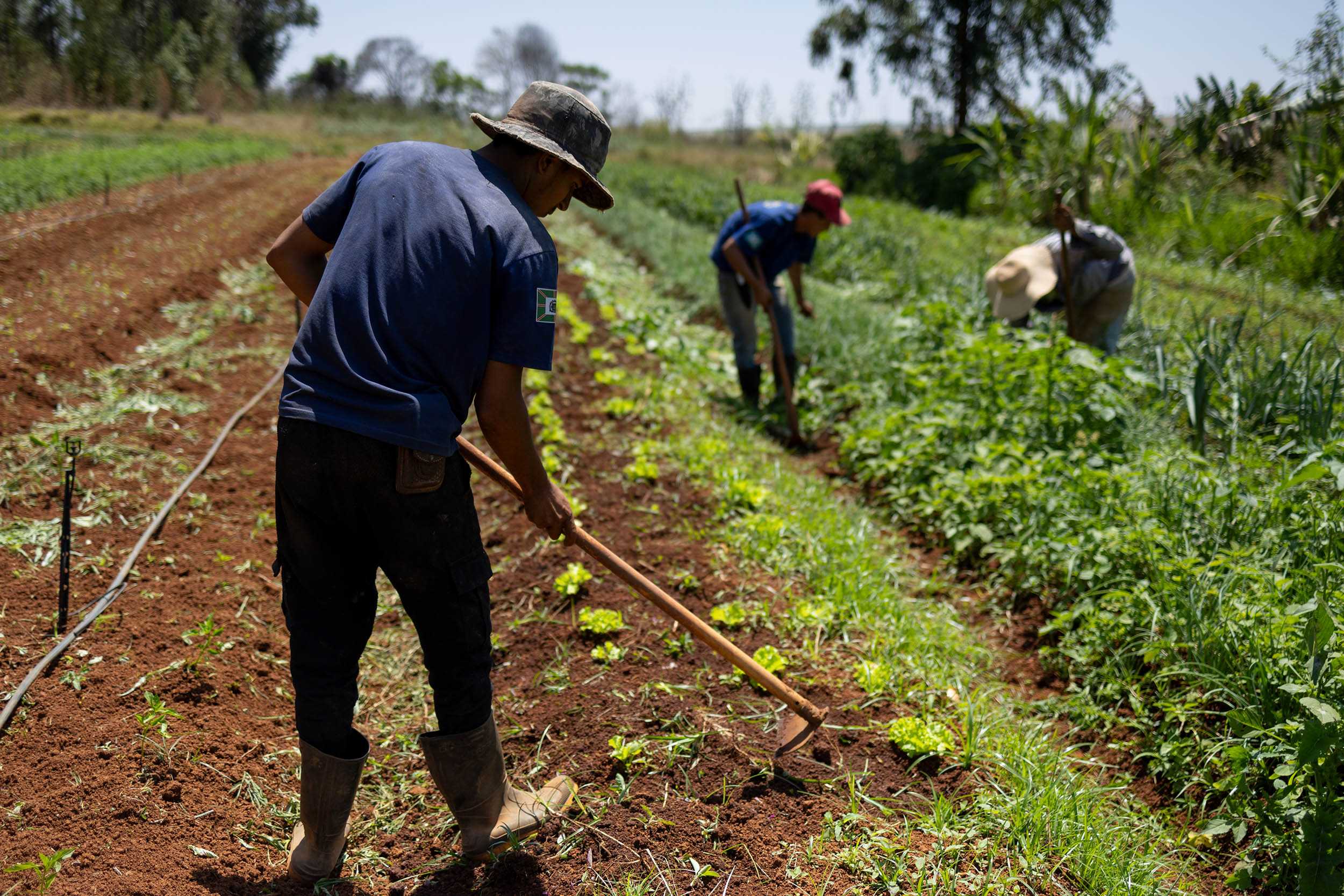 Austria Press Trip in the Cerrado